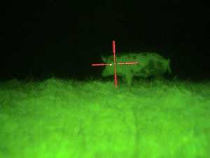 Night_vision_scope_with_boar_in_cross-hairs